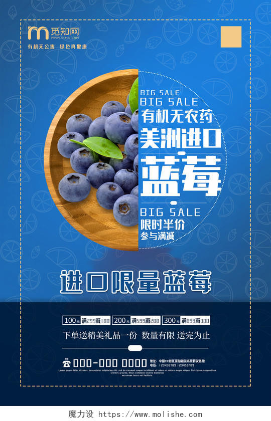蓝色简约进口限量蓝莓水果促销海报